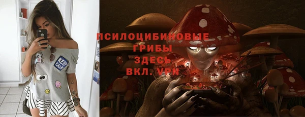 кокс Бородино