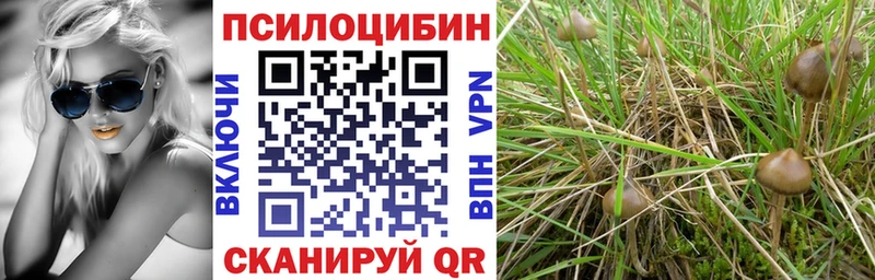 Галлюциногенные грибы мицелий  что такое   Маркс 