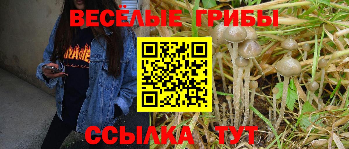 Псилоцибиновые грибы GOLDEN TEACHER Маркс
